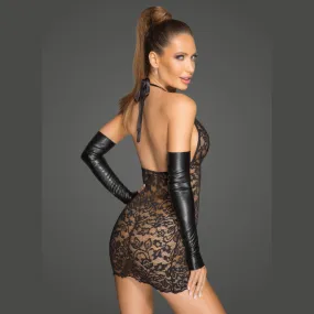 Sexy Sheer Lace Deep Neckline Mini Dress Rebellious Tigress